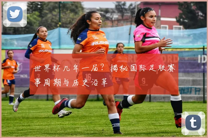 世界杯几年一届?揭秘国际足联赛事周期与历史沿革